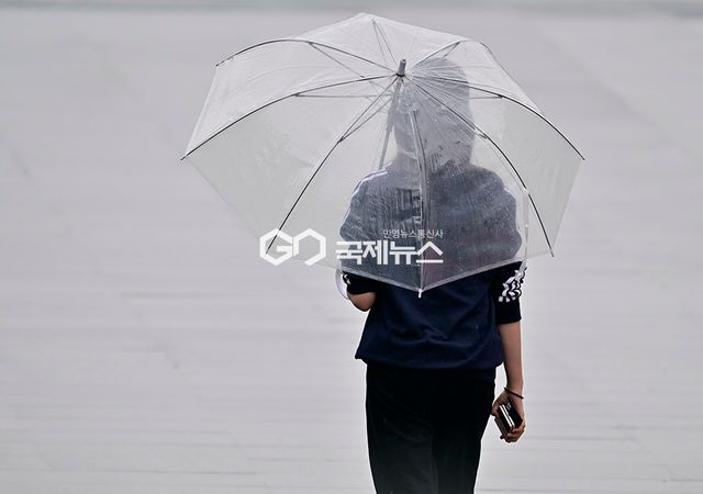 이틀째 비 내리는 도심/광화문광장 표정 (사진=안희영 기자)