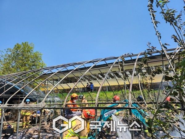 사진제공/정선소방서