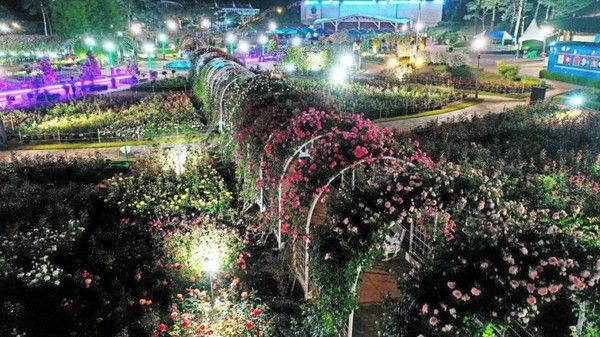 곡성세계장미축제일정, 주차장/ 곡성군 제공