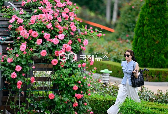 5~6월 나들이 & 부천 백만송이장미 축제 24일부터 6월 8일까지 (사진=안희영 기자)