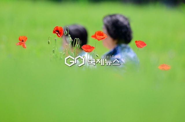 단오 5월의 휴일/인천대공원 표정 (사진=안희영 기자)