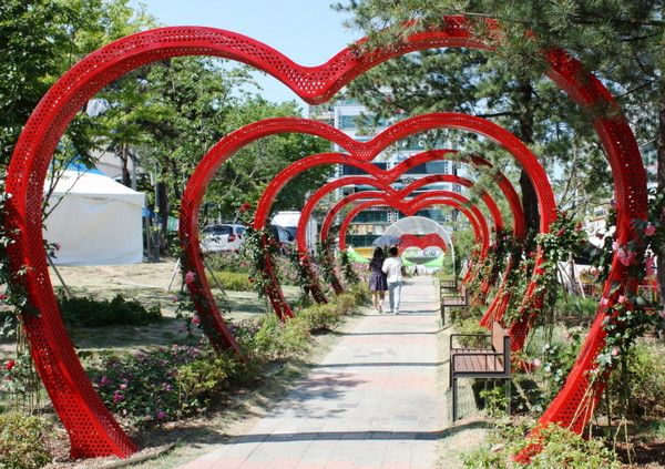 원주장미축제, 봄날씨스케치 (출처=한국관광공사)