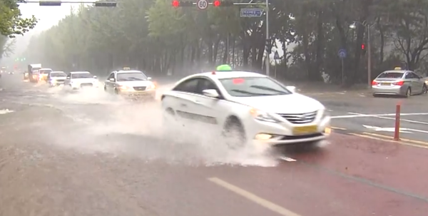 비스케치, 날씨, 폭우, 호우, 장마 /SBS 뉴스 캡쳐