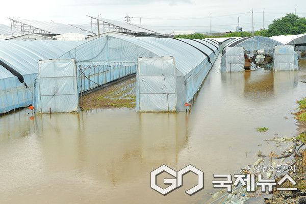 17일 안성시 공도읍에 많은 비가 집중되면서 비닐하우스가 침수 피해가 발생했다. 사진/엄태수 기자