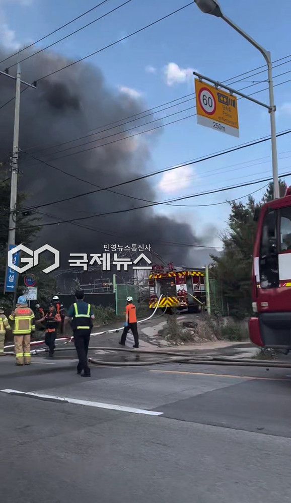 (사진제공=독자 이익희)