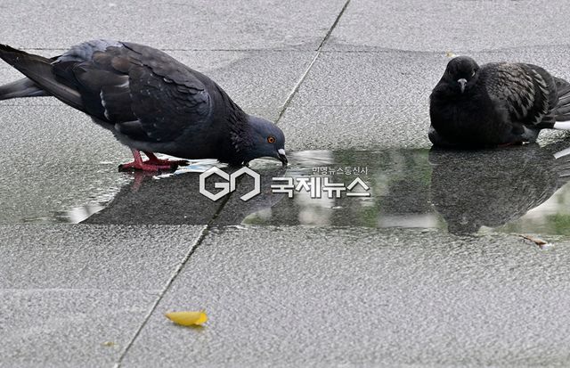 8월 첫날 폭염 경보 속 파란 하늘, 도심 표정 (사진=안희영 기자)