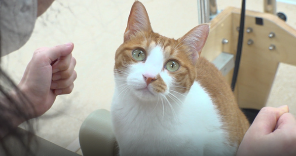 필라테스 센터 유자 / SBS 제공