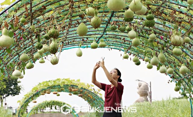 (서울=국제뉴스) 조롱박 자료사진
