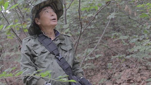 특종세상 (사진=MBN)