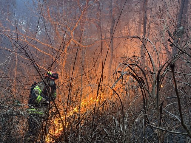 경북 의성 산불 (사진=경북소방본부 제공)