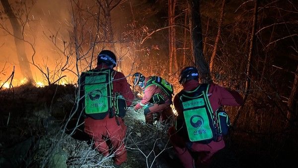 사진은 기사와 무관함. 산불 자료사진 (사진=산림청)