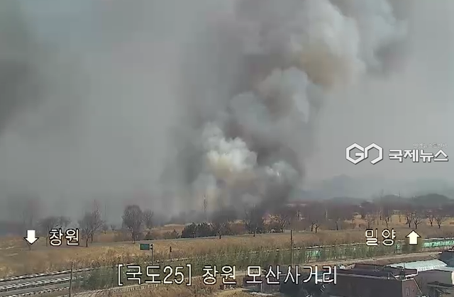 경남&nbsp;창원시 의창구 대산면 수산대교 인근 낙동강 고수부지 화재 현장 (사진=국토교통부 제공)