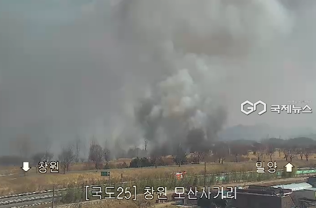 경남&nbsp;창원시 의창구 대산면 수산대교 인근 낙동강 고수부지 화재 현장 (사진=국토교통부 제공)