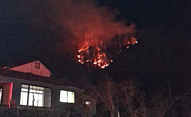 영주 산불 (사진=경북소방본부 제공)