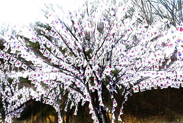 용산구청, 제107주년&nbsp;3·1절 기념해 효창공원 일대에 태극기 거리와 태극기 트리 조성 (사진=안희영 기자)