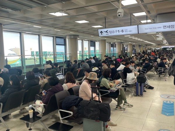 제주국제공항 결항&nbsp;
