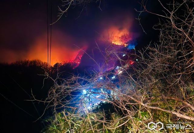 (제공=소방청) 경주 산불 현장