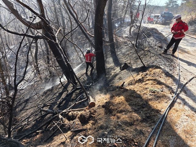 (제공=독자) 산불 진화에 나선 경북소방