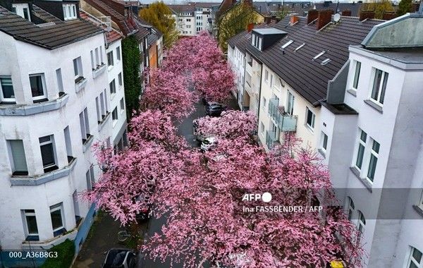 국제뉴스/AFP통신