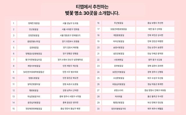 2026 서울 경기 부산 벚꽃 명소 / 티맵 제공