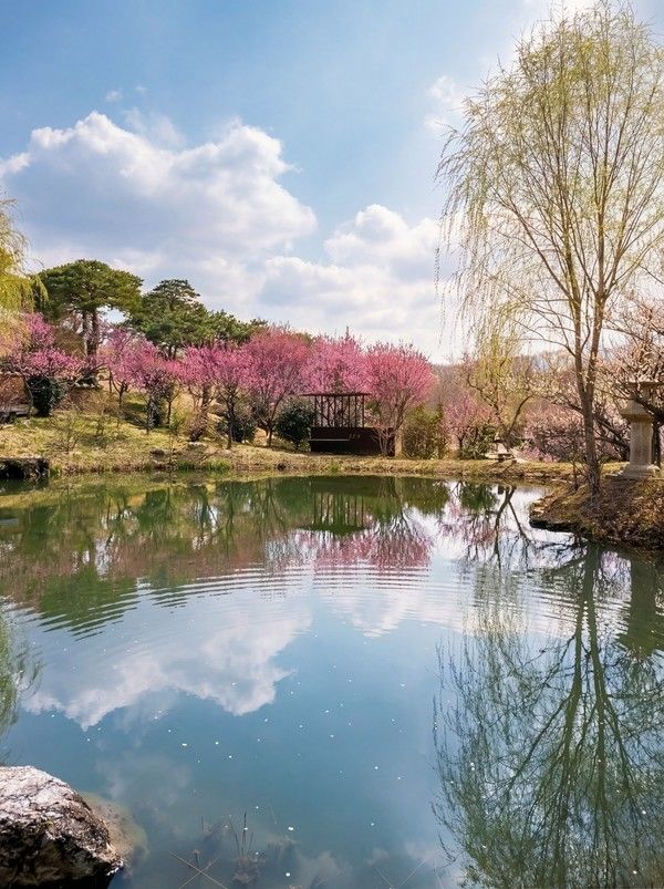 대구 사유원 제공