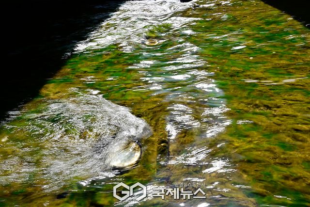 영하의 날씨와 한 자릿수 기온의 교차 시기, 도심의 봄 풍경 (사진=안희영 기자)