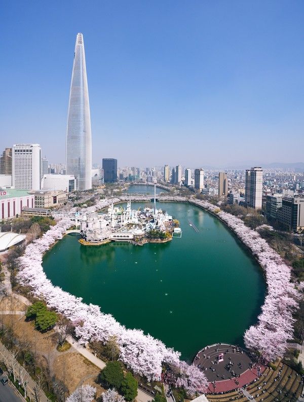 서울 석촌호수 벚꽃명소(사진제공=송파구청 자료사진)