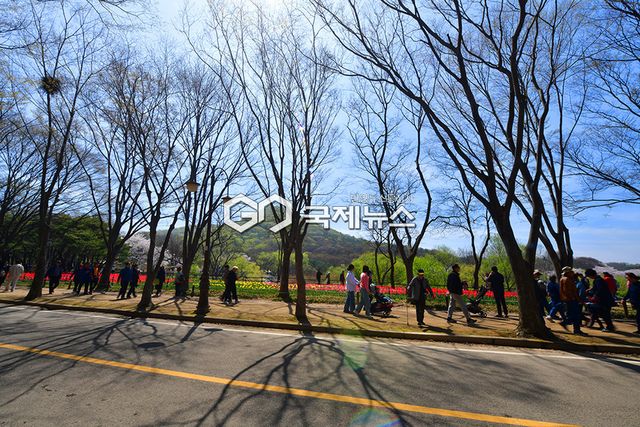 인천권 막바지 벚꽃향연 인파로 장사진 이룬 주말, 인천대공원 표정 (사진=안희영 기자)