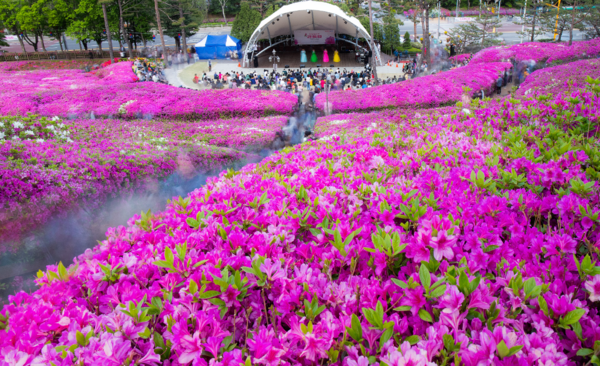 사진=군포철쭉축제 전국사진촬영대회 수상작