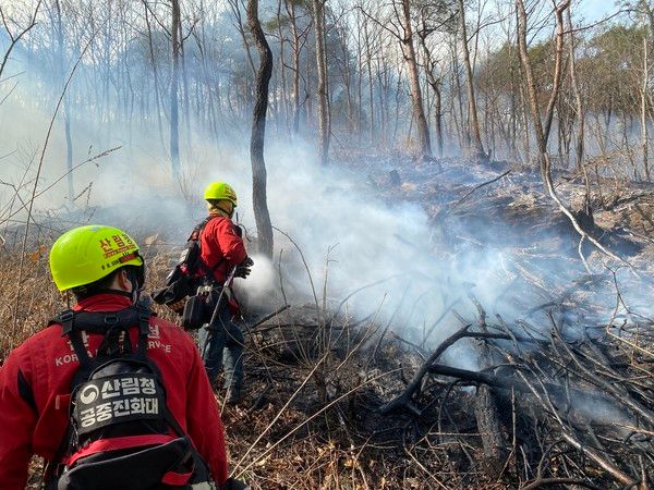 산불 자료사진 (사진=산림청)