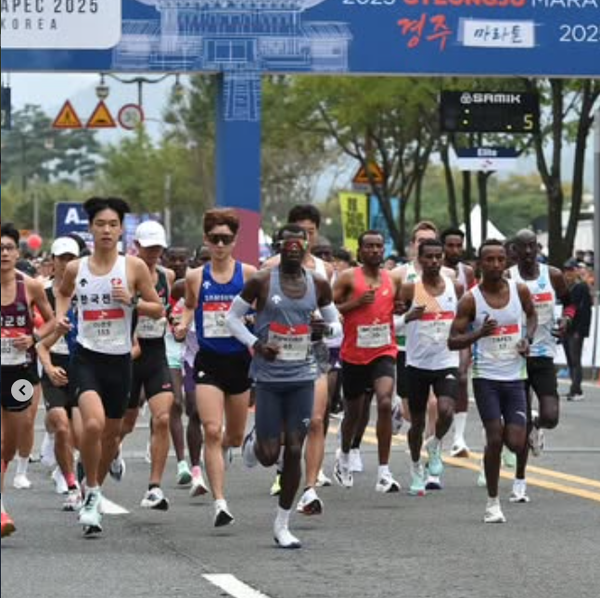 2026 경주벚꽃마라톤대회 일정 기념품 주차장 상금 / 경주시 제공