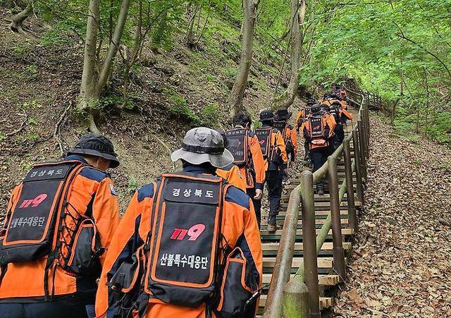주왕산 실종 초등생 수색 작업 (사진=경북소방본부 제공)