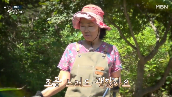 '나는 자연인이다' (사진=MBN)