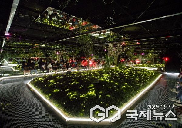 에버랜드 '한여름밤의 반딧불이' 체험&nbsp;(사진=에버랜드) 