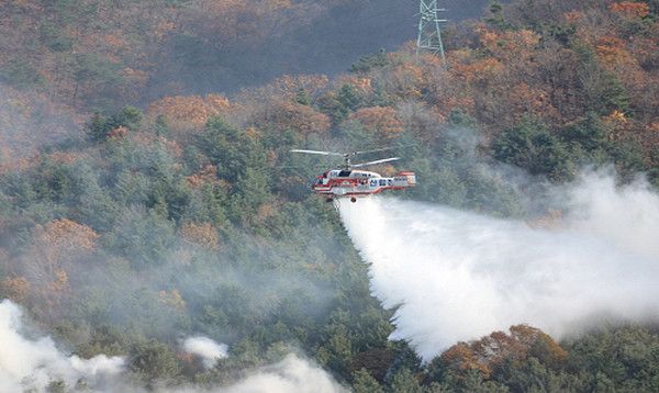 사진은 기사와 무관함. 산불 (사진=산림청 자료사진)