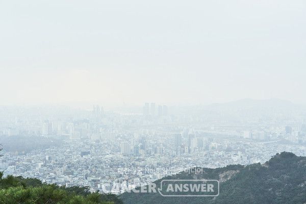 미세먼지 등 대기오염 물질에 노출되면 알츠하이머 치매 위험이 높아진다는 국내 연구 결과가 16일 발표됐다./캔서앤서 DB