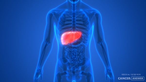 2기 간암 환자에게 고압 전기로 암 세포를 죽이는 치료법(IRE)을 세브란스병원이 국내 최초로 시행했다./게티이미지뱅크