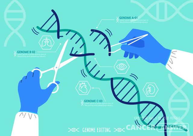 항암제 대신 유전자 가위(크리스퍼)를 이용해 암을 치료하는 항암 신약을 국내 연구진이 개발했다./게티이미지뱅크
