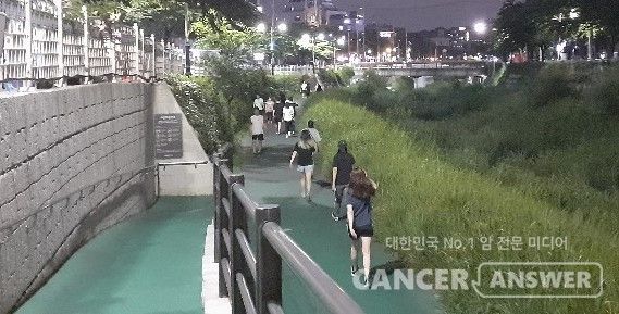 젊었을 때는 운동을 하지 않더라도 50대 중반 이후 제대로 운동을 한다면 노년기 삶의 질의 영향을 미치는 건강 효과를 거둘 수 있다는 해외 연구 결과가 나왔다./캔서앤서 DB