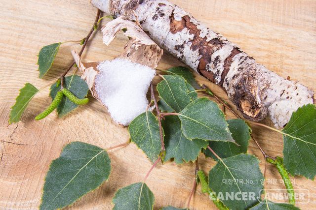 설탕 대체 감미료로 설탕 대신 껌에 넣는 자일리톨이 심장마비나 뇌졸중 위험성을 높일 수 있다는 연구 결과가 나왔다./게티이미지뱅크