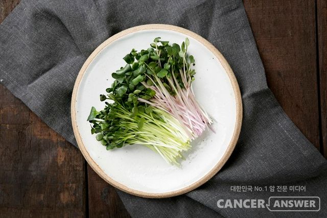 무순에는 항암 성분인 설포라판이 브로콜리의 4.8배, 양배추의 2.3배나 들어 있는 것으로 농촌진흥청 연구에서 밝혀졌다./게티이이미지뱅크