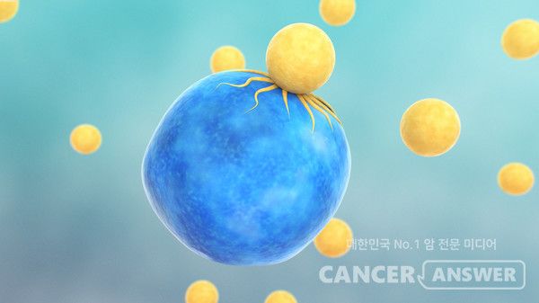 암세포에 '가짜 표적'을 달아 면역세포 공격을 유도하는 새로운 방식의 항암치료 전략을 포스텍 김원종 교수 등 국내 연구진이 제시했다./게티이미지뱅크