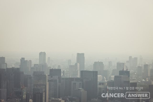 가톨릭대학교 서울성모병원 비뇨의학과 박용현(공동교신저자), 단국대학교 자유교양대학 코딩교과 박지환(공동교신저자), 단국대학교 보건과학대학 노미정(제1저자)교수 연구팀은 국민건강보험공단 데이터베이스를 분석해 보통 수준의 미세먼지(PM10) 노출이라도 전립선암 발병 위험을 높일 수 있다는 연구결과를 발표했다. 특히 초미세먼지가 낮은 수준이라도 미세먼지에 지속적으로 노출된다면 발병 위험도가 높다는 연구 결과도 있다./게티이미지뱅크