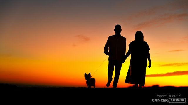 암치료 중에도 부부관계를 할 수 있지만, 항암제 투여 후 2~3일 내, 면역 수치가 떨어졌을 때는 피하는 게 좋다./unsplash