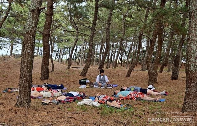 한국통합치유협동조합(이사장 유명길)은 암경험자, 만성질환자, 생활습관 교정이 필요한성인을 대상으로 서울 북부 숲(수락산, 불암산), 서울 남부 숲(오금공원, 일자산), 대구 팔공산 숲에서 산림치유 활동(명상, 호흡, 감각 자극, 회복의 리듬 만들기)을 진행했다./한국통합치유협동조합 제공