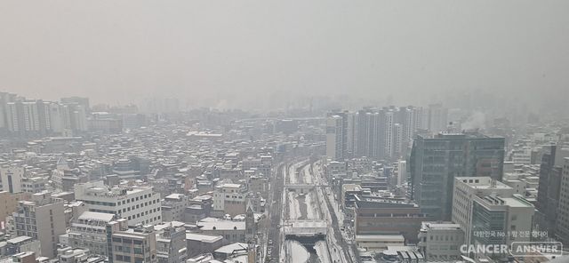 담배 뿐 아니라 대기오염도 폐암의 주요 원인이라는 국제암연구소(IARC)의 연구 결과가 발표됐다. 폐암은 전세계 암 사망원인 1위다.&nbsp;4일(현지시각) 영국 일간지 가디언 보도에 따르면, 국제암연구소는 폐 선암 발병 사례 중 약 20만 건이 대기오염과 관련 있다는 연구 결과를 발표했다. 이 연구는 국제 학술지 랜싯 호흡기 의학(Lancet Respiratory Medicine)에 발표됐다./ 캔서앤서DB
