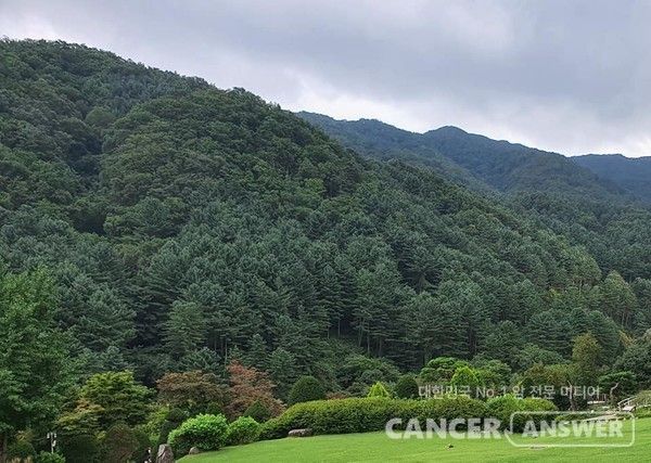 한국통합치유협동조합(이사장 유명길)은 암 경험자와 가족을 위한 산림치유 프로그램 '회복의 여정, 산림치유 생활습관 솔루션'을 오는 4월부터 본격적으로 운영한다고 밝혔다.