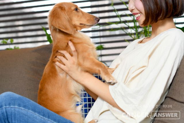 후각이 예민한 강아지는 암세포가 배출하는 독특한 냄새도 맡을 수 있기 때문에 암의 징후를 느낄 수 있다. 미국에서 반려견이 주인의 유방암 진단에 도움을 준 사례가 최근 언론에 보도됐다./게티이미지뱅크