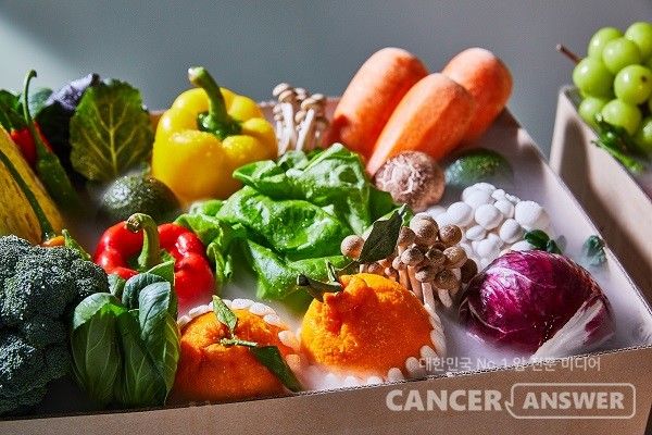 채소, 과일의 항산화 성분이 대장암의 전 단계인 선종 발생을 억제하는 데 뚜렷한 효과가 있다는 연구결과가 국내에서 발표됐다. 이번 연구는 채소, 과일 섭취의 암 예방 효과가 대장내시경과 국민건강영양조사 결과를 통해 확인된 것이다./게티이미지뱅크
