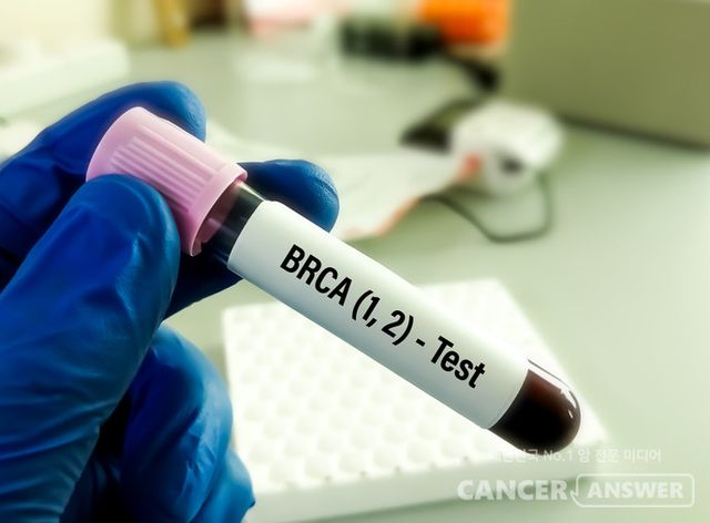 BRCA는 ‘Breast Cancer susceptibility gene(유방암 취약 유전자)’의 줄임말로, BRCA1과 BRCA2 두 가지가 있다. 두 유전자의 원래 기능은 세포 DNA 손상이 일어났을 때 이를 복구하는 수리 단백질을 만드는 것이다. 즉, 암을 막아주는 ‘방어군’ 역할을 한다./게티이미지뱅크